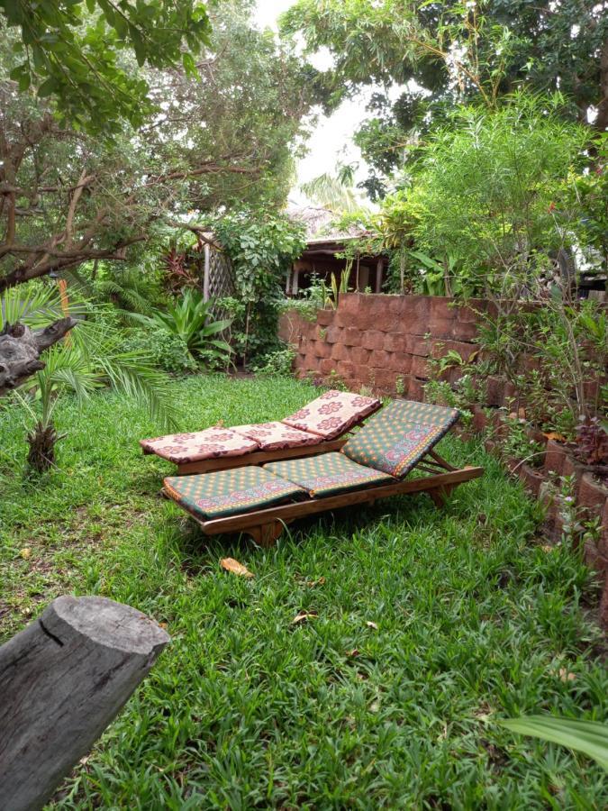 Casa Camaleao Gekko Cottadge Hotel Tofo ภายนอก รูปภาพ
